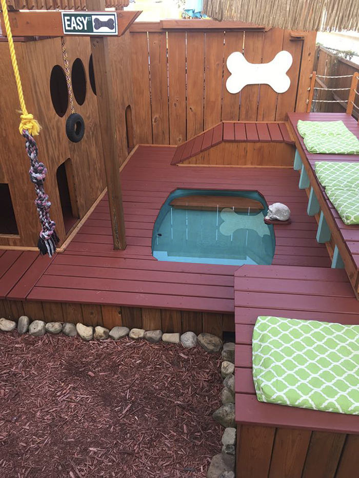 Dog Owner Transforms His Backyard Into A Large Playground With Private Pool For His 4 Dogs
