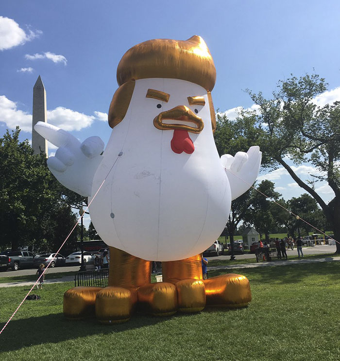 Aterriza junto a la Casa Blanca un pollo hinchable gigante que se parece a Trump
