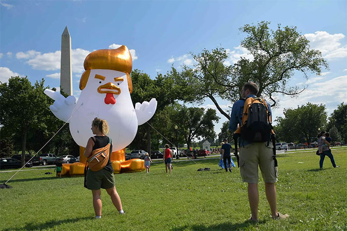 Aterriza junto a la Casa Blanca un pollo hinchable gigante que se parece a Trump