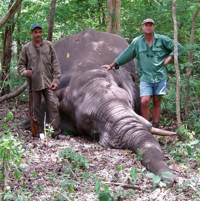 Big Game Hunter Gets Killed By Elephant He Was Trying To Shoot, And Here's How Internet Reacts