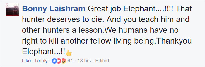 Big Game Hunter Gets Killed By Elephant He Was Trying To Shoot, And Here's How Internet Reacts