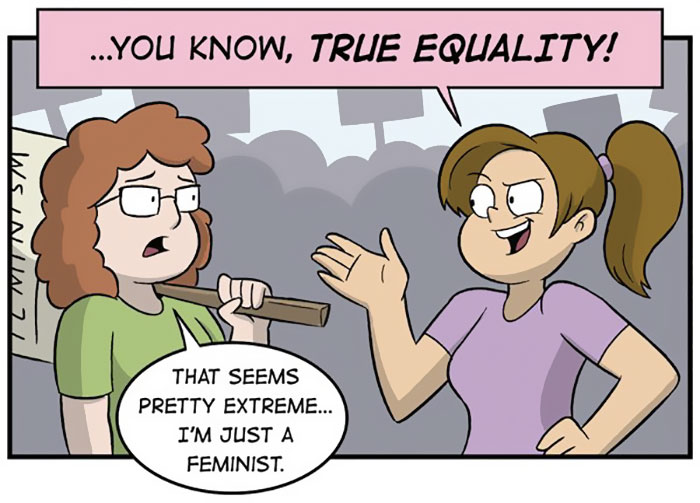 Controversial Comic Reveals What You're Really Saying When You Support Gender Equality, But Not Feminism