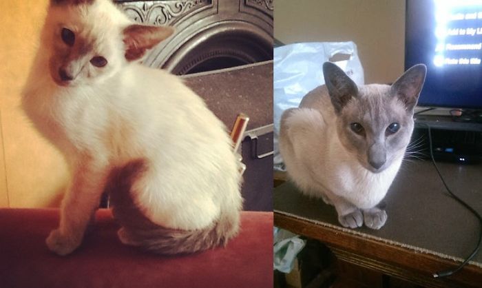 Freya - Then And Now