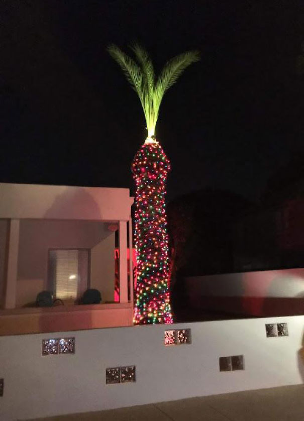 The Neighbors Decorated Their Lawn Penis Again
