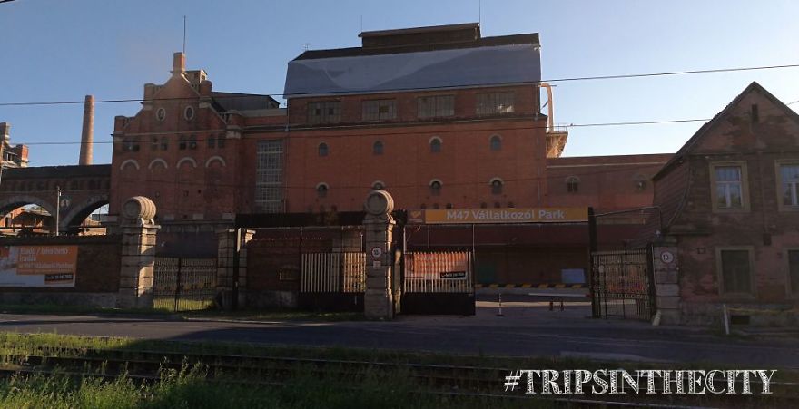 I Was In A Hundred-Years Old Empty Factory, And That's What I Found There
