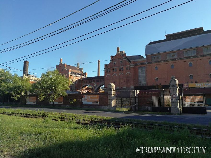 I Was In A Hundred-Years Old Empty Factory, And That's What I Found There
