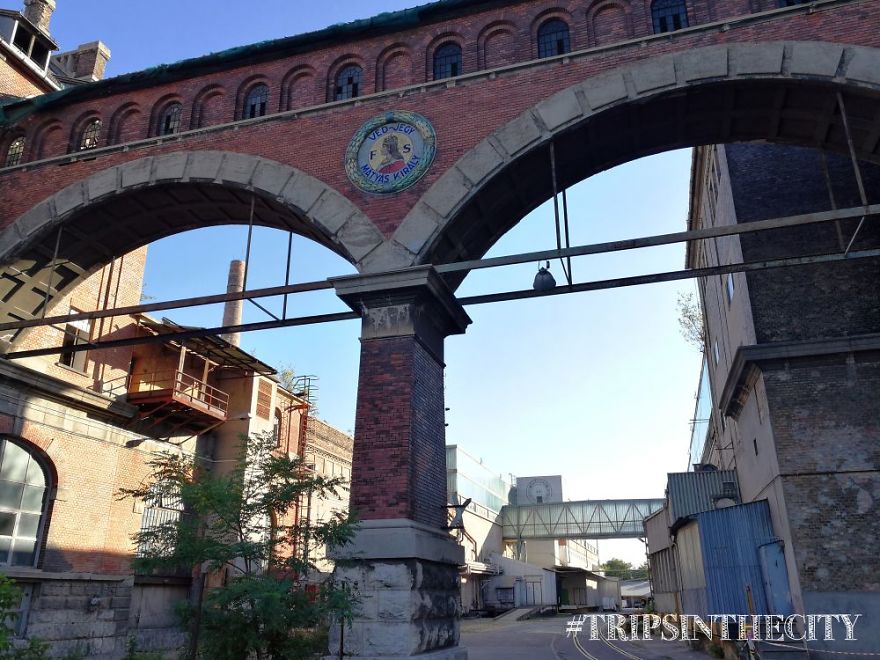 I Was In A Hundred-Years Old Empty Factory, And That's What I Found There