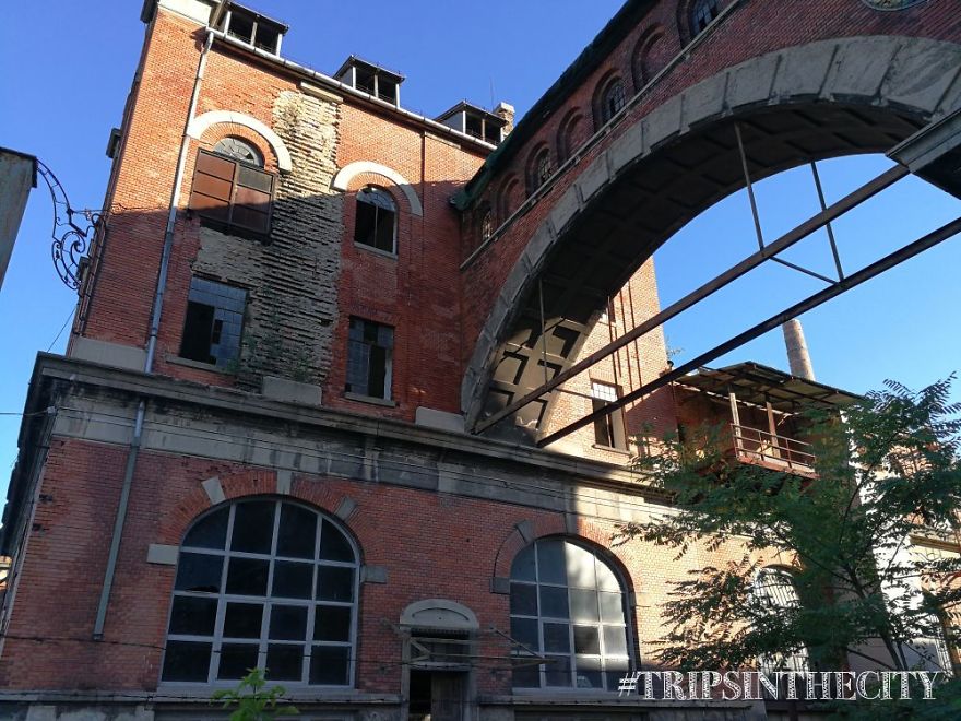 I Was In A Hundred-Years Old Empty Factory, And That's What I Found There
