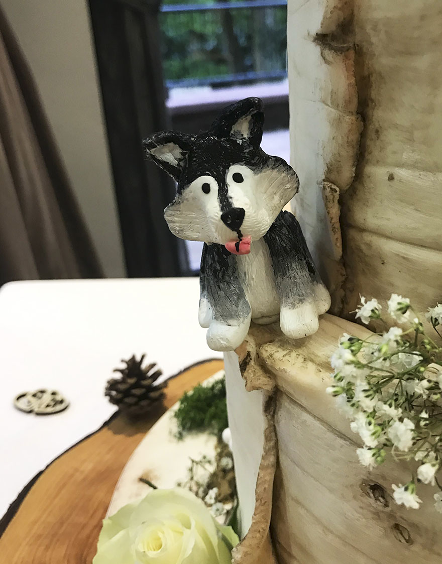 Couple Makes Their Malamutes Best Man And Maid Of Honor For Their Wedding And It's Too Cute