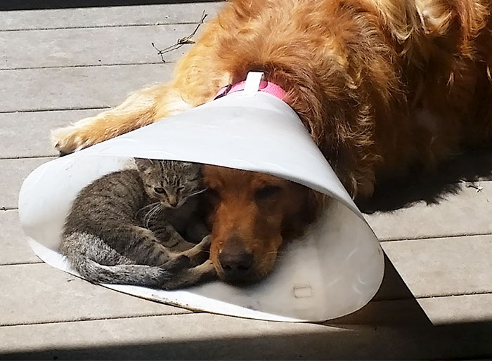 Nice To Have A Buddy When You're Down And Out