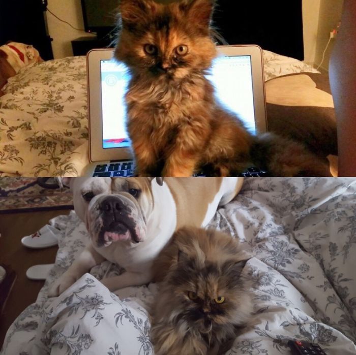 Peanut 3 Months Old Vs Now