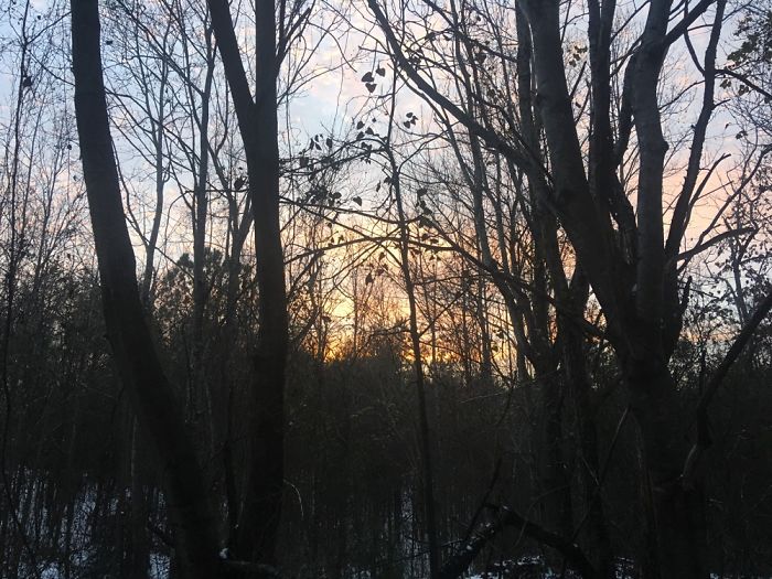 Views From A Tent