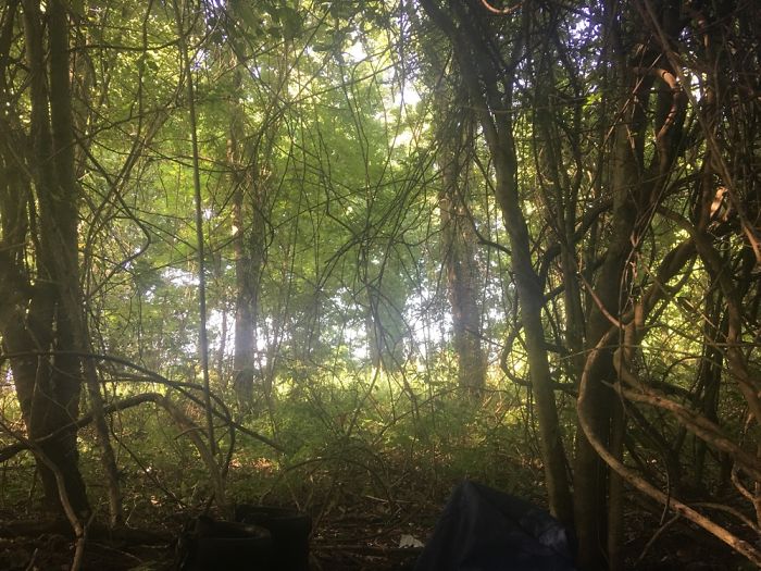 Views From A Tent