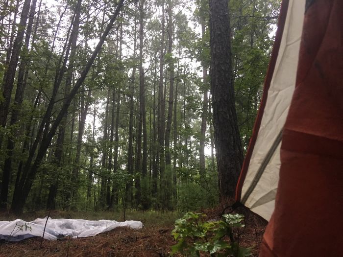 Views From A Tent