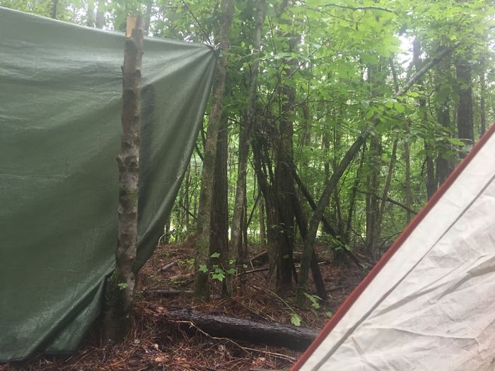 Views From A Tent