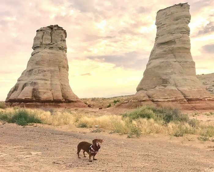 Navajo Nation