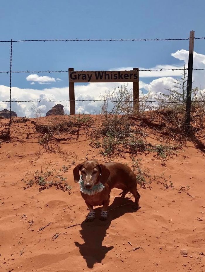 Navajo Nation