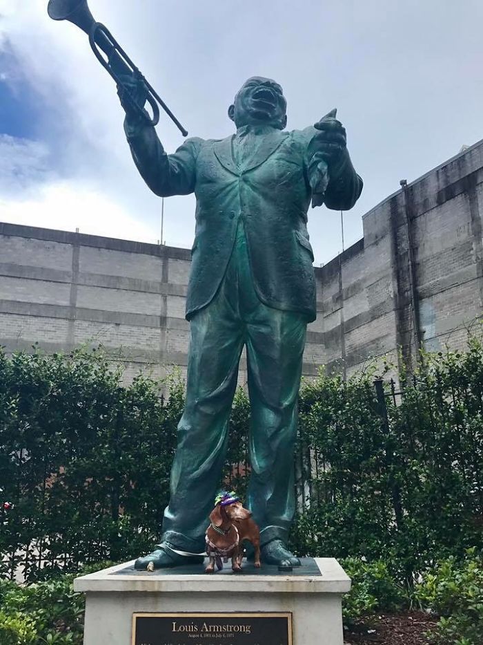 Nola