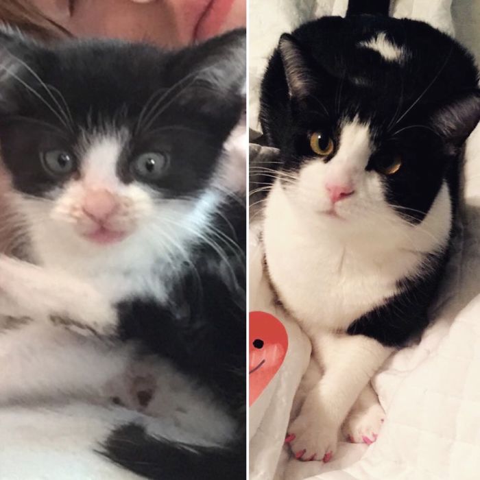 Our Baby Bloo From 5 Weeks Old To A Year Old.