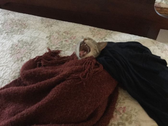 Best Way To Spend A Lazy Rainy Afternoon... Ever