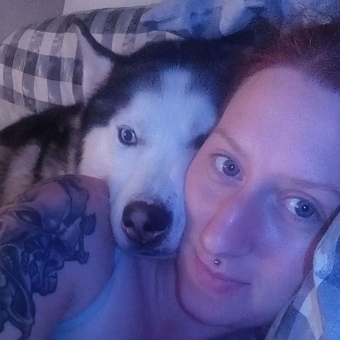 My Siberian Husky Kai Snuggling At Bedtime