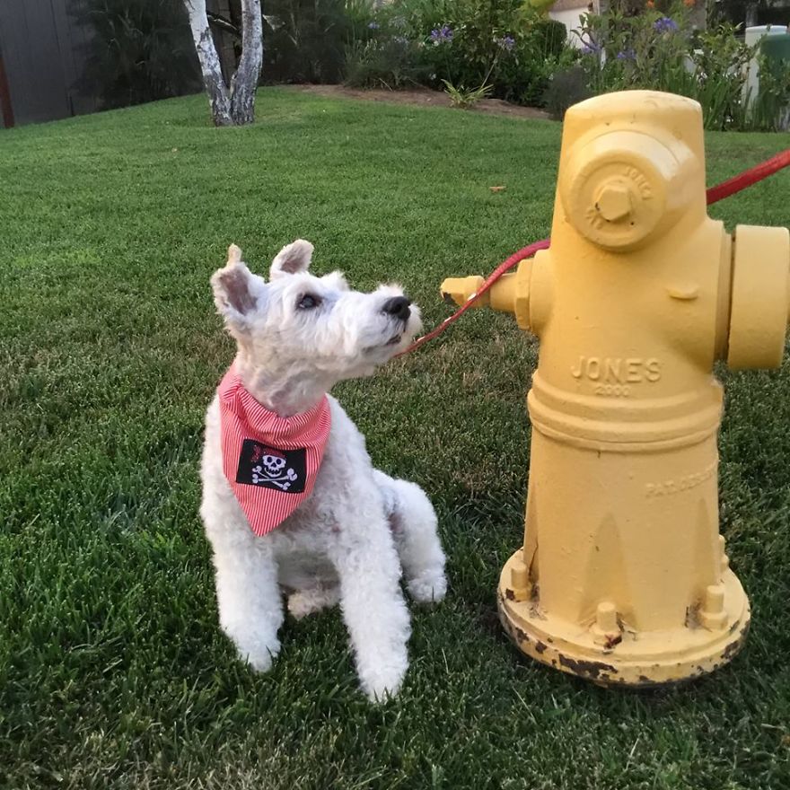 Our Global Treshur Hunt 2017! Our Global Treshur Hunt 2017!