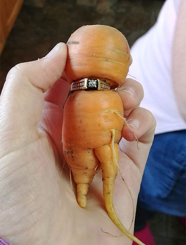 Woman Got An Extra Carrot With Her Diamond Ring When It Was Found In Her Vegetable Patch 13 Years After She Lost It