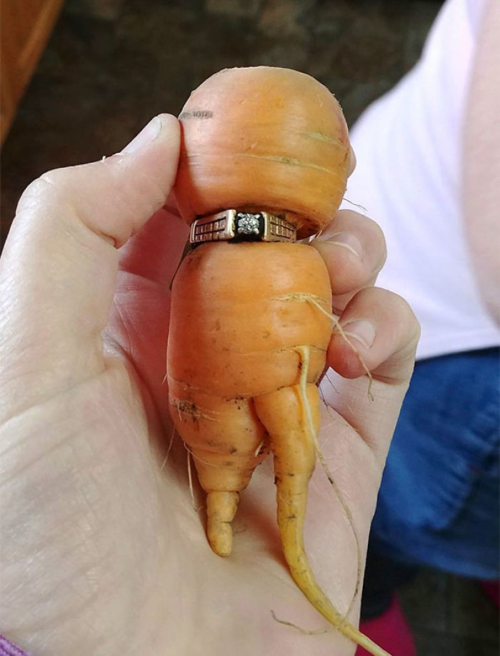 Esta mujer encontró su anillo perdido hace 13 años en una zanahoria de su huerto