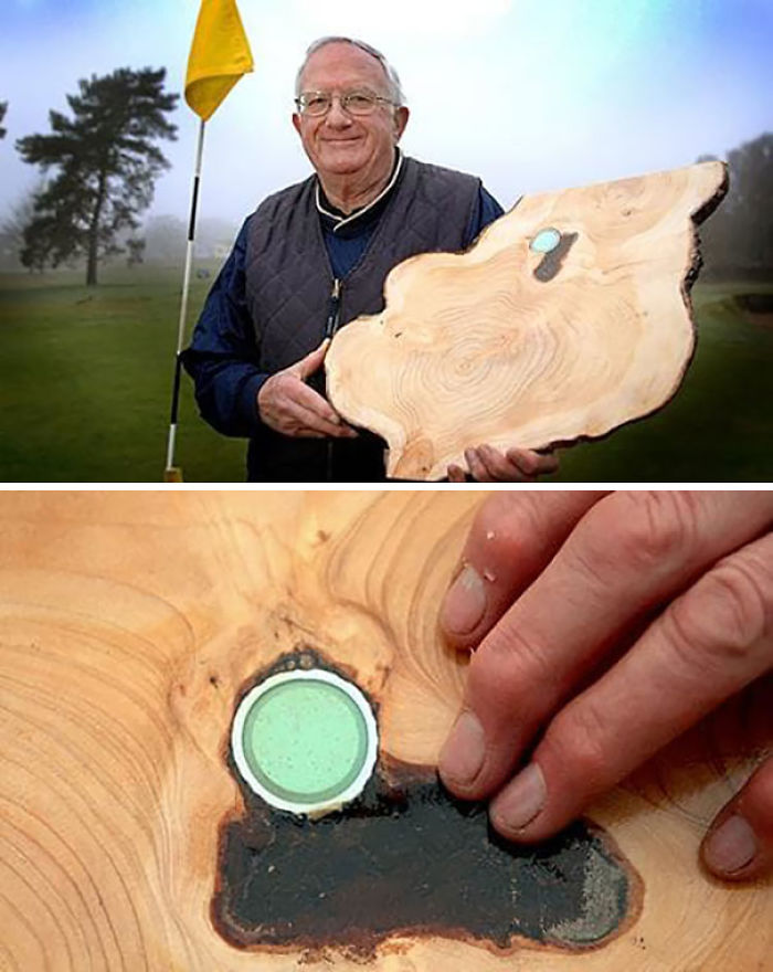 Esta pelota de golf se perdió hace años y la encontraron incrustada en el tronco de un árbol