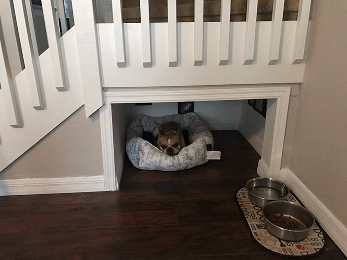 Man Builds Entire Bedroom Under Stairs For His Dog