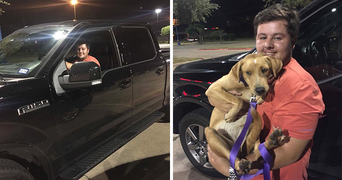 This Student Ignored All Warnings And Drove Towards A Hurricane To Save Animals On His Path