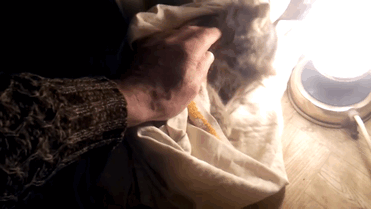 Transformasi Nika, si kucing beku yang diselamatkan oleh seorang pria