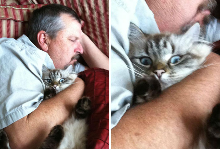 50 People Who Said They Didn’t Want The Damn Cats