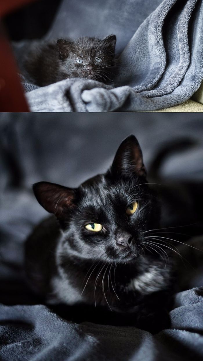 Amira 2014 (4 Weeks Old), And 2015 (1y4m), Same Blanket