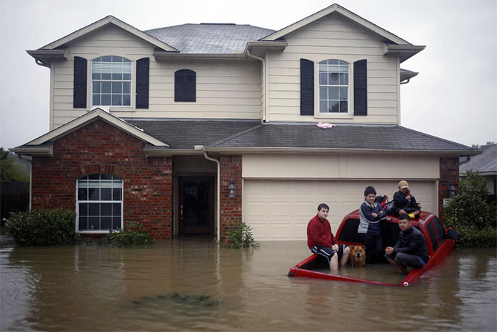 Residents With A Dog Sit In The Back Of A Truck While Waiting To Be Rescued From Rising Floodwaters In Spring, Texas