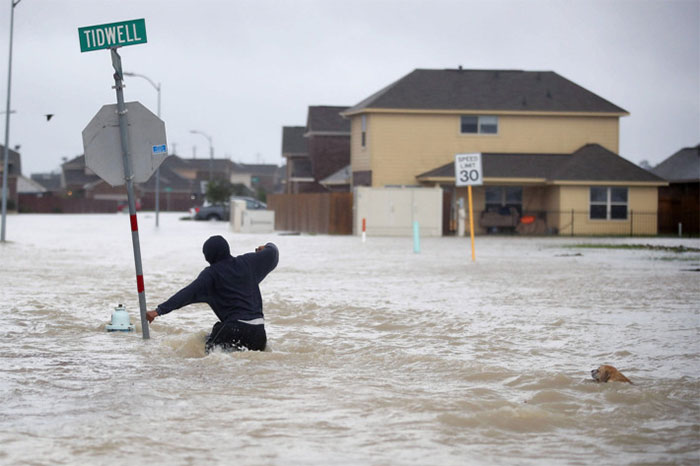 A Person Walks Through A Flooded Street With A Dog