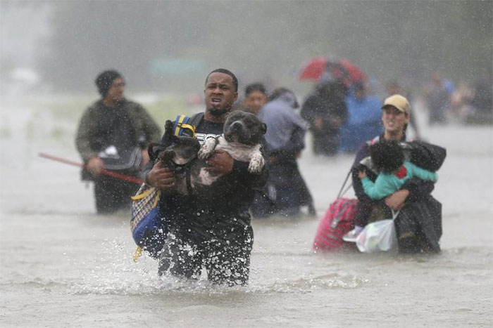 Isiah Courtney Carries His Dog Bruce Through Flood Waters In Beaumont Place, Houston, Texas