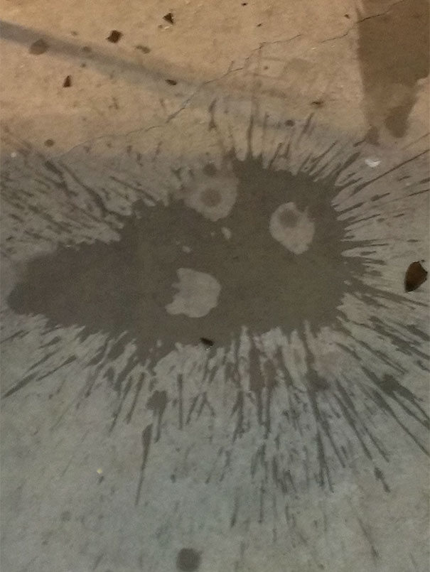 My Drink Was More Shocked I Spilled It Than I Was