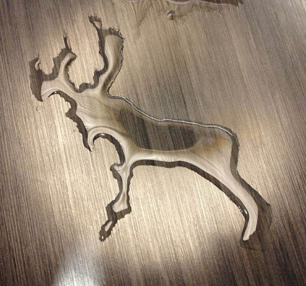 The Water I Spilled Looks Like A Reindeer