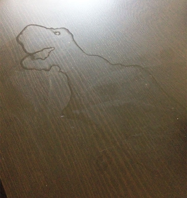 A Spill Dried Up On My Coffee Table Into A Dinosaur