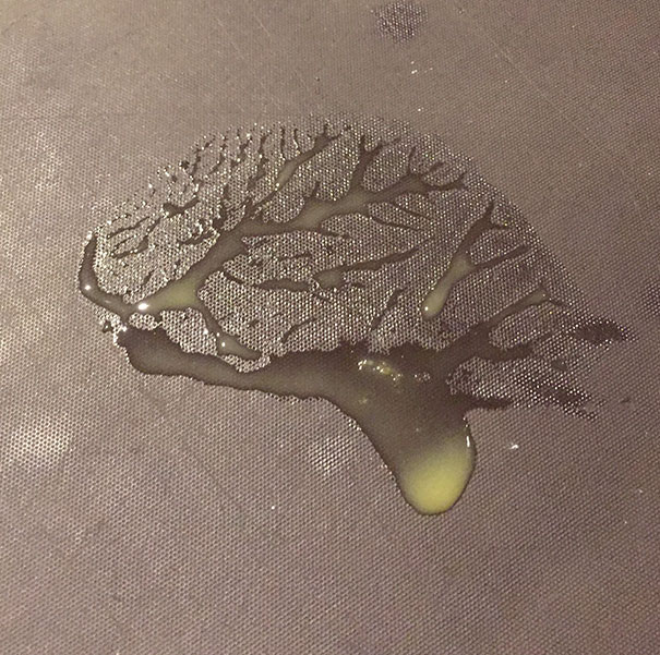 This Spill That Looks Just Like A Brain