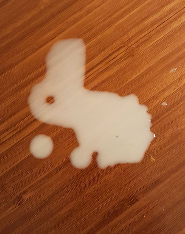 I've Spilled Milk And It Looks Like A Bunny