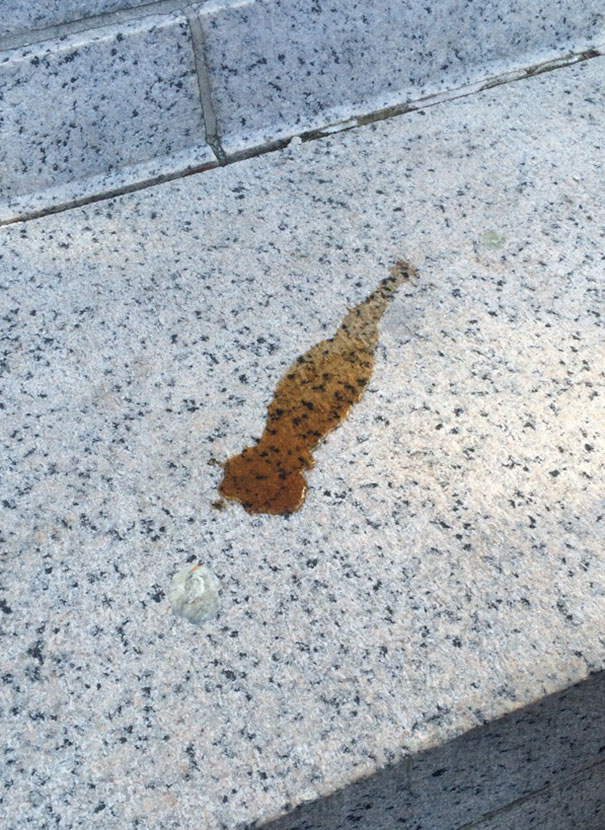 This Puddle Of Spilled Soda Looks Like A Soda Bottle