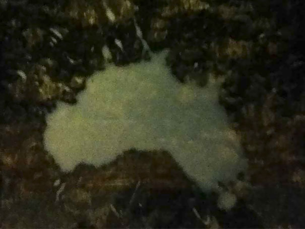 I Spilled Some Milk And It Looked Like Australia