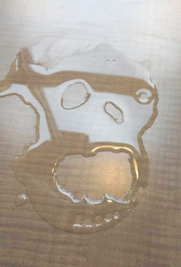 This Water Spilled On The Floor Looks Like Some Kind Of Primate Skull