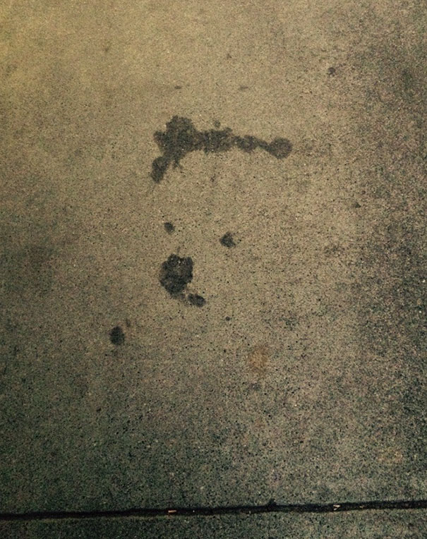 This Water Stain Looks Like A Bear