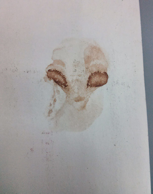 This Protein Shake Stain Looks Like An Alien