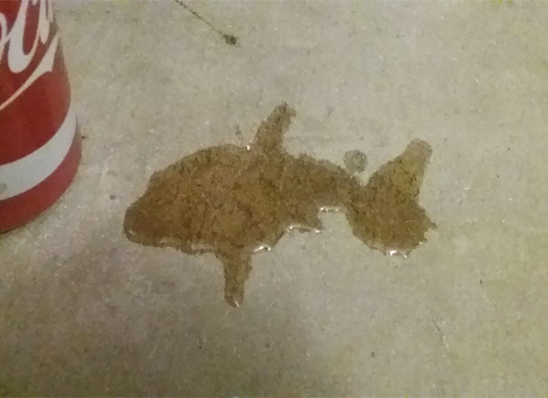 I Spilled My Coke But The Puddle Looks Like A Shark So Im Cool With It