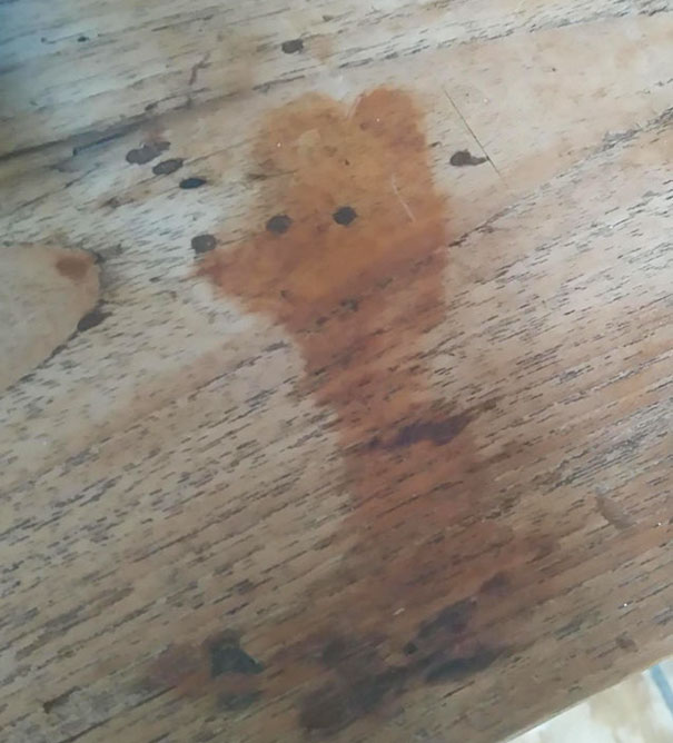 This Stain On My Friend's Table Looks Like A Cute Lil Fox