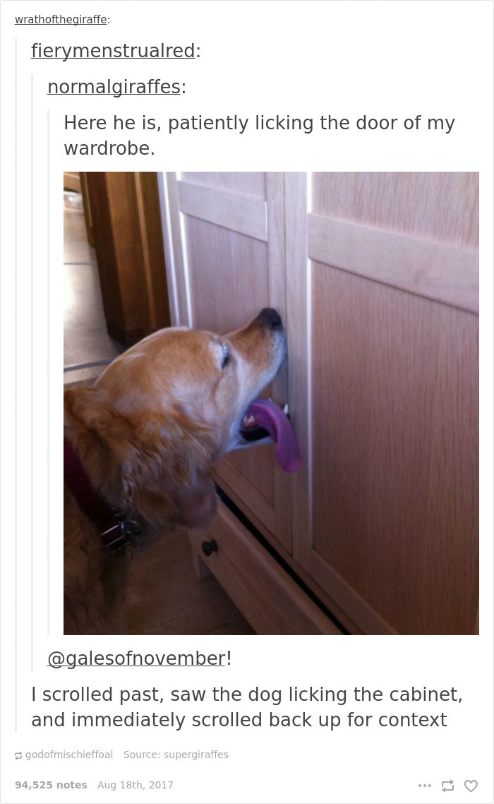 Dog Licks Front Door When He Wants To Go Out But Then Owners Move And Things Get Hilarious